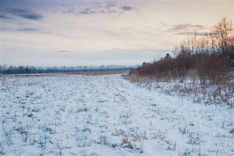 Winter Evening In Snowy Fields Of Russian Province Stock Photo Image
