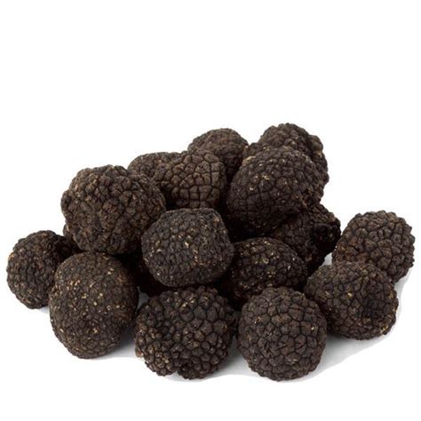 Fresh Burgundy Truffles 8 Oz Urbani Truffles