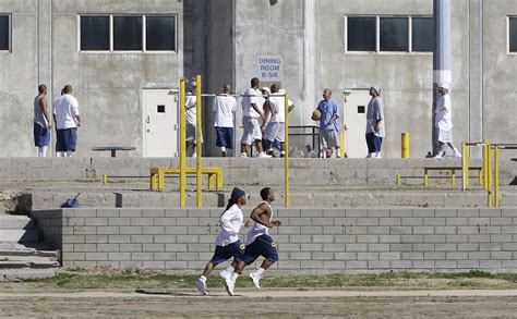 Calif Prison Employees Saw Inmates As Wild Animals Report Says