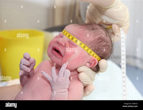 Newborn Baby Examination In Delivery Room Stock Photo Alamy