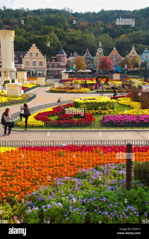 Colorful Four Season Garden At Everland Amusement Park During Autumn