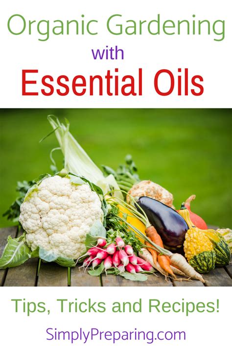 Organic Gardening With Essential Oils Simply Preparing