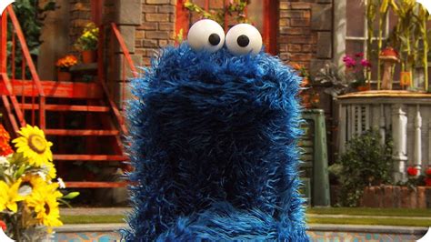 Sesame Street Cookie Monster Eating Cookies