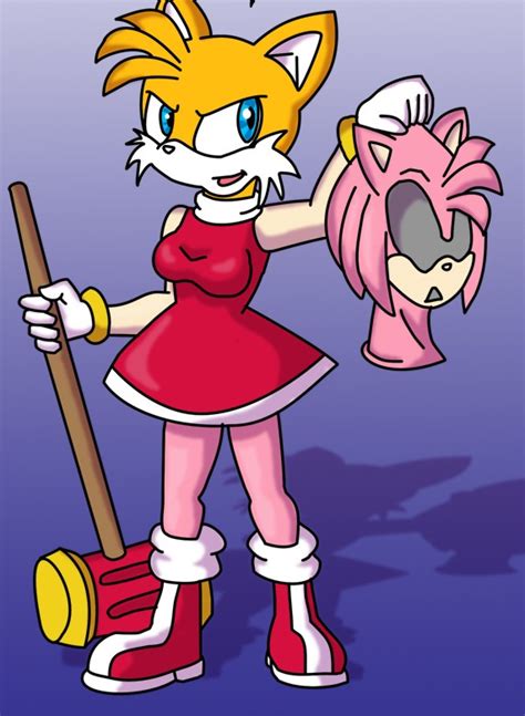 Tails To Amy Rose Disguise Tg By Thegameingmaster On Deviantart