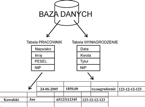 Relacyjne Bazy Danych Oracl Sql Server Informix Access