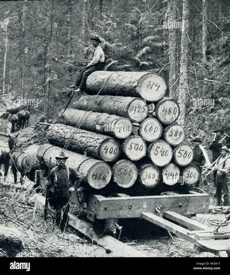 19th Century Logging High Resolution Stock Photography And Images Alamy