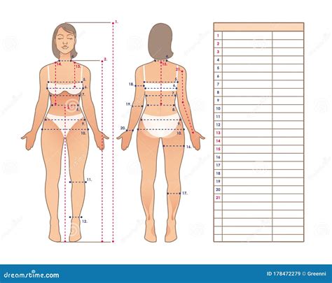 Woman Body Measurement Scheme Of Measurement Human Body Table For
