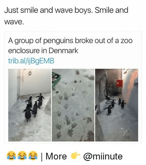 Just Smile And Wave Boys Smile And Wave A Group Of Penguins Broke Out