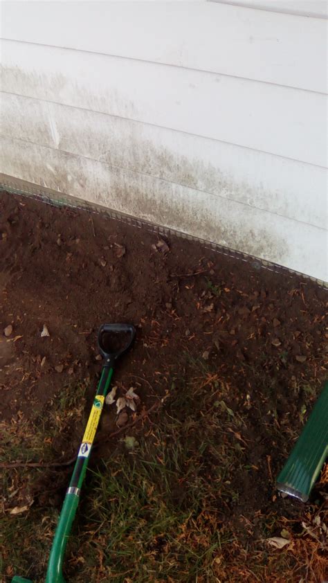 Removing Skunks From Under A Shed Skunk Removal Wildlifeshieldca