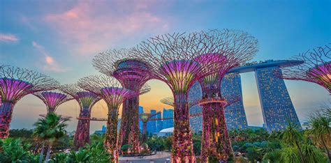 Singapore landed at number one on a new list of the best cities for startups. Future Cities: How Thailand, Melbourne And Singapore Are ...