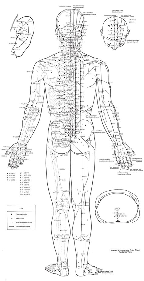 Back Acupuncture Points Chart Acupressure Points Reflexology Chart