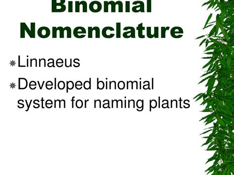 Ppt How Plants Are Named Powerpoint Presentation Free Download Id