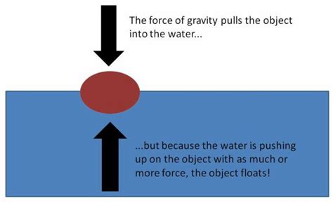 Buoyancy To Float Or Not To Float Science Lessons Fun Science