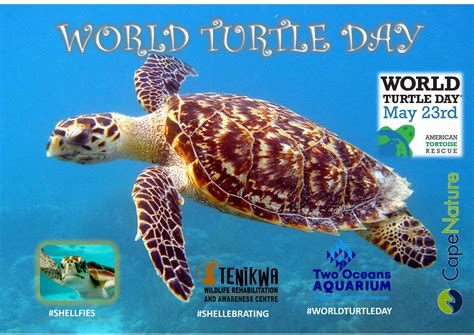 World Turtle Day Tenikwa Wildlife Awareness Centre