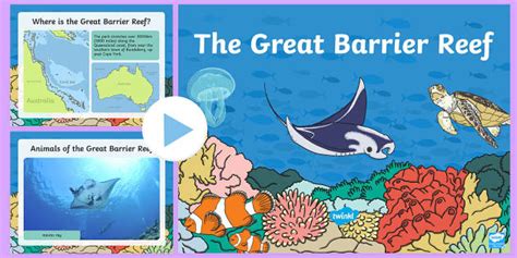 The Great Barrier Reef Presentation Twinkl PowerPoint