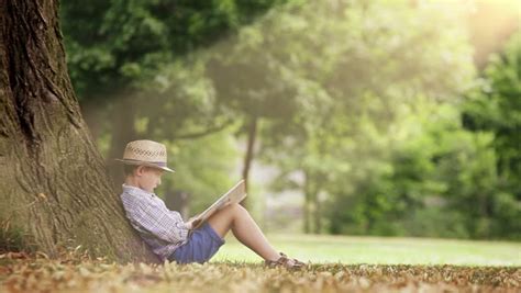 A Boy Sits Under The Big Linden Tree And Reads A Book Stock Footage