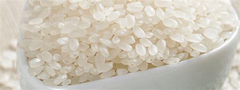 Japonica Rice Exports Angimex Kitoku