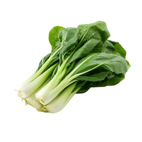 Ai Generated Bok Choy Png Isolated On Transparent Background 35647639 Png