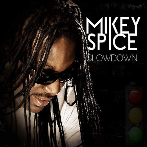 Listen Mikey Spice Slow Down Full Album