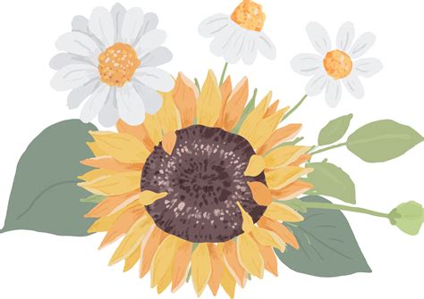 Watercolor Hand Draw Cute Yellow Sunflower And White Daisy Flower