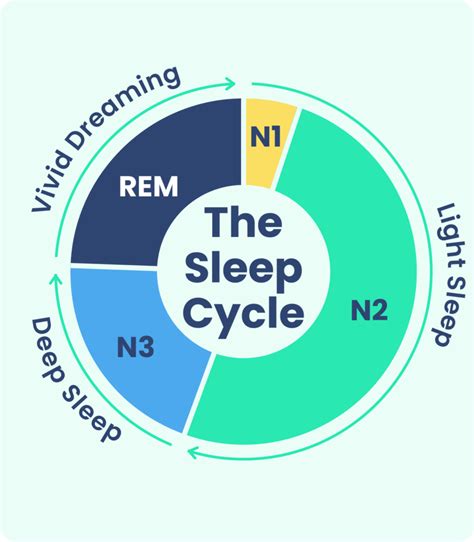 stages of sleep what happens in a sleep cycle sleep foundation