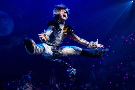 Cats (revival, musical, broadway) opened in new york city jul 31, 2016 and played through dec 30, 2017. Everything You Need to Know About the Musical "Cats" | Teen Vogue