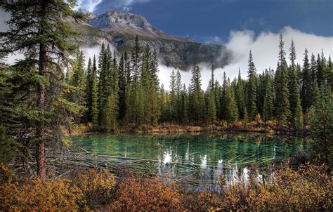 Wallpaper Photo Nature Mountains Lake Canada Spruce Park Banff