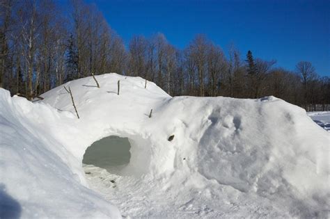 4 Best Winter Survival Shelters By Type How To Make Your Own