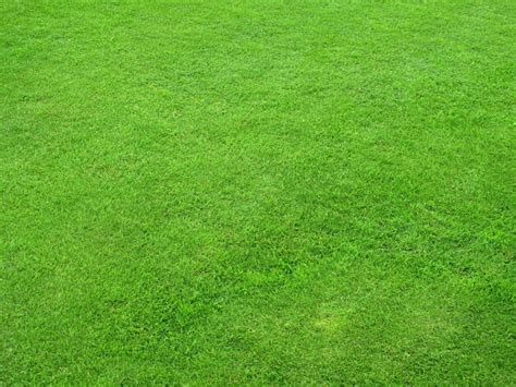 Premium Photo Beautiful Green Lawns Perfectly Cut For Background