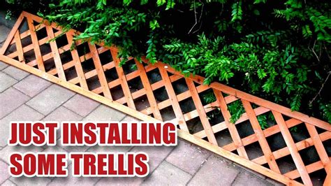 Fitting Some Garden Trellis To A Wall Youtube