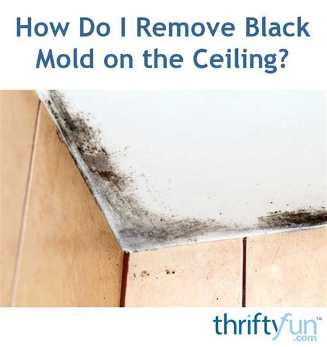 Solving a mold problem on a bathroom ceiling is a crucial step prior to painting. How Do I Remove Black Mold on the Ceiling? (With images ...