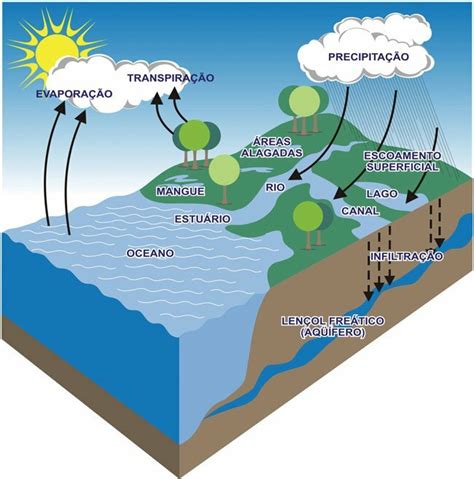 Veja Animação Do Ciclo Da Água Instituto Maramar