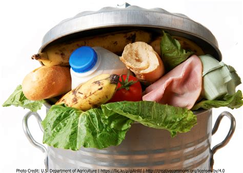 Wasted Wasted Food Hd Png Download Original Size Png Image Pngjoy