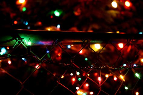 Christmas Lights On Fence Picture Free Photograph Photos Public Domain