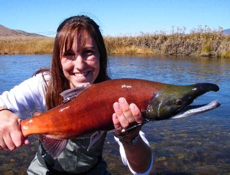 Colorado lakes offer some of the best fishing opportunities for walleye, bass, pike, trout, kokanee salmon, catfish, and crappie. SEPTEMBER 29, 2006 COLORADO FLY FISHING FOR KOKANEE SALMON ...