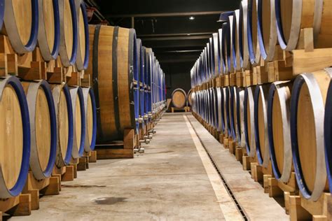 Roxanich Winery Istria And Kvarner Region Croatianwine