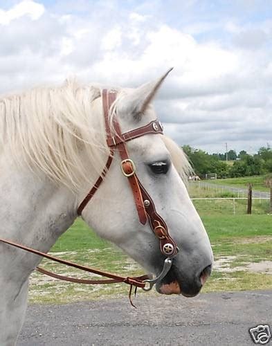 Ultimate Leather Draft Horse Western Bridle With Reins Frontier
