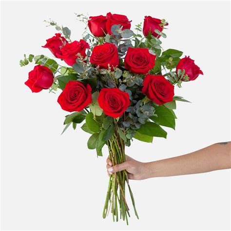 1 Dozen Red Rose Bouquet Flower Delivery Nyc