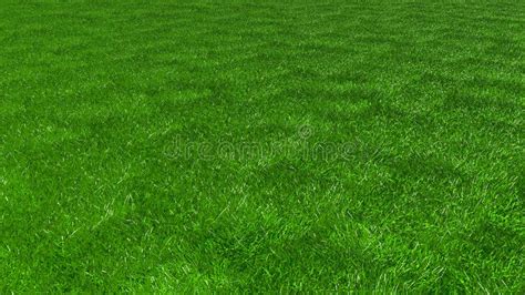 Artificial Grass Texture Of Green Grass 3d Stock Illustration