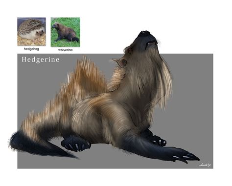 Random Animal Hybrid Generator With Pictures - QANIML