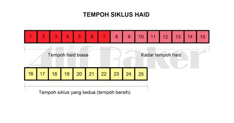 Kiraan kitaran haid bermula dari hari pertama pendarahan sehingga bermula semula kitaran seterusnya. Safira Abdullah: BAB HAID - SIKLUS PENGIRAANNYA