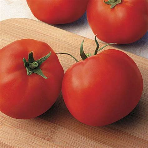 23 Of The Best Slicing Tomatoes To Grow In Your Garden
