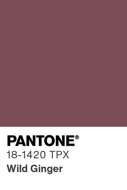 Pantone® Usa Pantone® 18 1420 Tpx Find A Pantone Color Quick