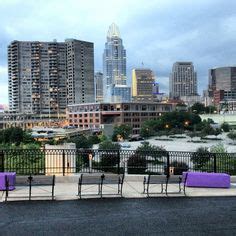 To check the status of your food, cash and medical. 230 Cincinnati ideas | cincinnati, cincinnati ohio ...