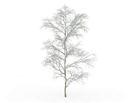 Snow Covered Tree In Winter Free 3d Model Max Open3dmodel