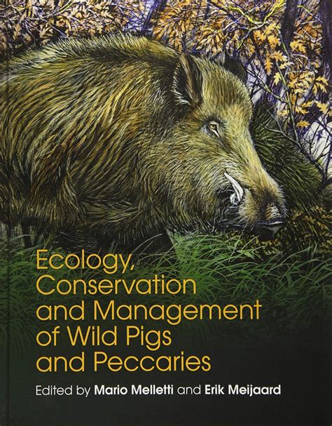 Ecology Conservation And Management Of Wild Pigs And Peccaries