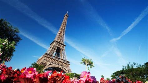 Now download and enjoy the movie eiffel…i'm in love 2 feb. Eiffel Tower, Building, Architecture, Flowers, Paris ...