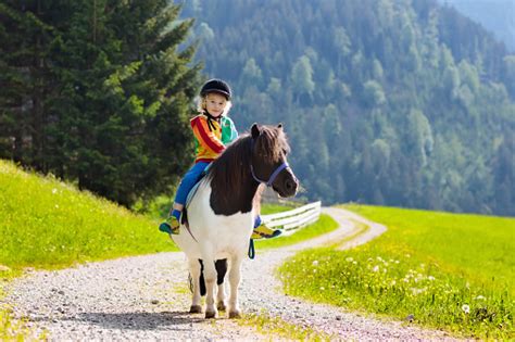Kids Riding Pony Child On Horse In Alps Mountains Stock Photo