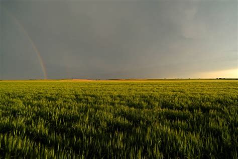 Storm Over Wheat Fields Kansas Scenic Scenic Byway Kansas