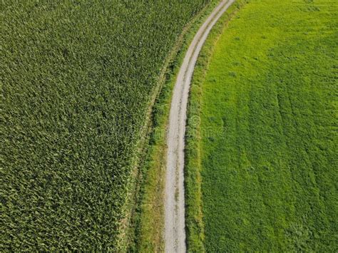 Drone View Of Curved Gravel Road In The Meadow Stock Image Image Of
